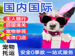 张家口航空快递国际宠物托运 【国